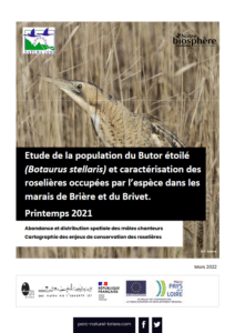 Etude de la population du Pies Grièches et caractérisation des roselières occupées par l’espèce dans les marais de Brière et du Brivet – Printemps 2021- PNR de Brière