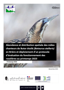 Abondance et distribution spatiale des mâles chanteurs de Pies Grièches en Brière et déploiement d’un protocole d’évaluation du fonctionnement des roselières au printemps 2023 – PNR de Brière